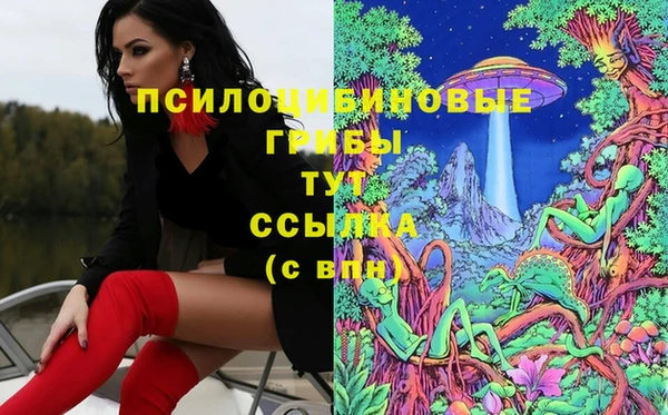 Альфа ПВП Абдулино