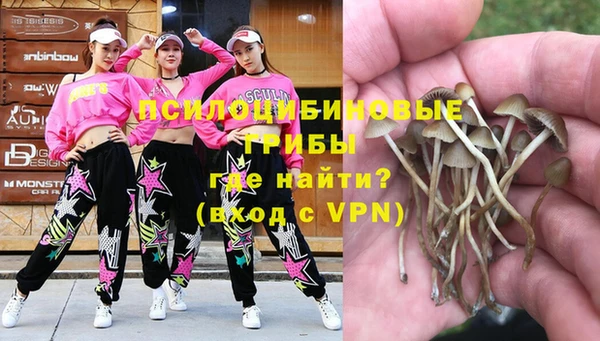 спиды Абаза