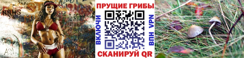 Псилоцибиновые грибы MAGIC MUSHROOMS  Электросталь 